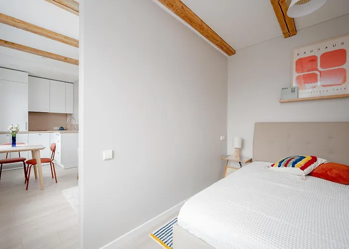 Apartment Modern 1br Free Parking Fast Wi-fi Vilnius