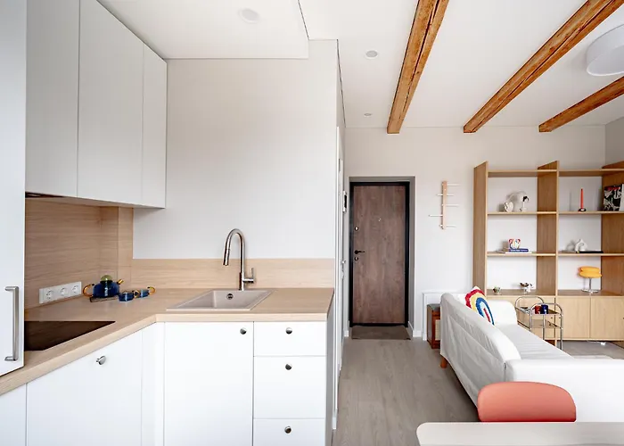 Modern 1br Free Parking Fast Wi-fi Apartamento Vilna