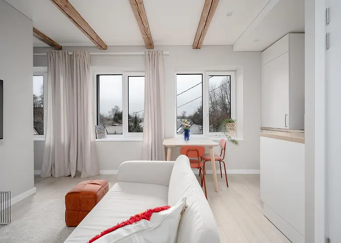 Modern 1br Free Parking Fast Wi-fi * Vilna